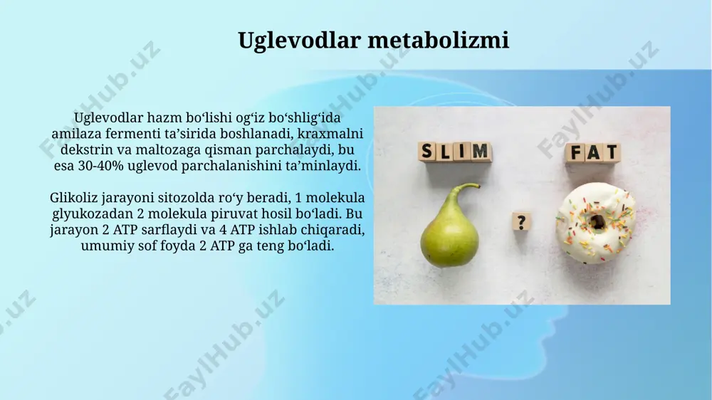 moddalar almashinuvi metabolizm - Page 4