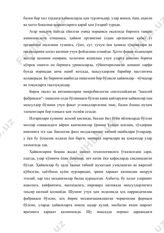 фермаси бўлсин, уларда ҳайвонларга имкон қадар қулай, нисбатан яхши шароит яратишга ҳаракат қилинмоқда. шу мақсадда нормал даражадаги ёритилганлик, доимий ҳарорат ва намлик яратилади. бироқ ҳайвонларнинг аҳволига таъсир кўрсатувчи асосий омил биологик тўла тўйинтирилган озиқа рациони ҳисобланади. озиқа ҳайвонларни табиат билан боғловчи асосий бўғинга айланишини эътиборга олиб, унинг таркибида қуёш чарақлаб турган ўтлоқдан оладиган барча нарсалар бўлишига ҳаракат қилишимиз, шунга интилишимиз лозим. дон - чорвачилик учун асосий энергия ва оқсил манбаи. паррандачиликдаги қарийб ҳамма, чўчқачилик-даги деярли 80%, қорамолчиликдаги 30% озиқа - бу маккажўхори, арпа, буғдой, жавдар каби бошоқли экинлар ҳиссасига тўғри келади. озиқа мақсадларига мўлжалланган дон янгича, фураж дони деб атала бошланди. бироқ бу билан ишнинг моҳияти ўзгариб қолмади. яъни дон донлигича, «қуёш парчаси» сифатида қолаверди. арпа қайта ишланиб, айтайлик, арпа ёрмасига ёки ҳайвонларни боқиш учун ем сифатида ҳам арпалигича қолаверади. бу ҳолат, айниқса, буғдой ва маккажўхорига ҳам тааллуқлидир. афсуски, озиқа мақсадлари учун мўлжалланган «тирик куртакнинг» барча хусусиятидан етарли даражада фойдаланилмайди. …