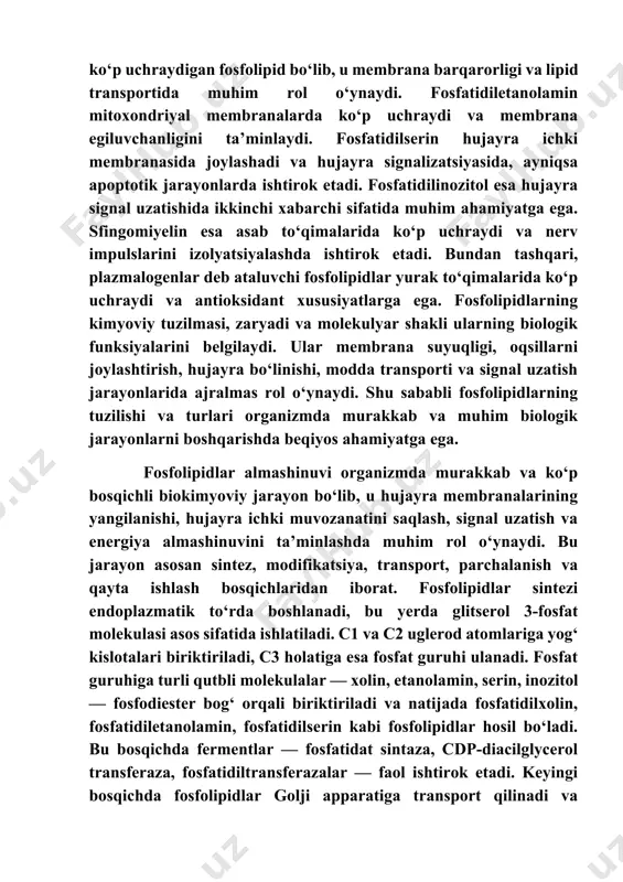 bu taqsimot hujayra signalizatsiyasi, modda almashinuvi va hujayra bo‘linishida muhim ahamiyatga ega. fosfolipidlar modifikatsiyasi bosqichida fermentlar yordamida ularning tarkibi o‘zgaradi, masalan, fosfatidilserin tashqi qatlamga chiqib, apoptotik hujayralar uchun marker sifatida xizmat qiladi. parchalanish bosqichida fosfolipazalar — a1, a2, c va d — fosfolipidlarni yog‘ kislotalari, lizofosfolipidlar va ikkinchi xabarchilarga ajratadi. bu jarayon hujayra ichki signal uzatish, yallig‘lanish reaksiyalari va hujayra stressiga javob sifatida muhimdir. qayta ishlash bosqichida hosil bo‘lgan komponentlar yana sintez jarayoniga qaytariladi yoki energiya manbai sifatida ishlatiladi. fosfolipidlar almashinuvi genetik nazorat ostida bo‘lib, ularning sintezi va parchalanishi hujayra ehtiyojlariga mos ravishda modulyatsiyalanadi. bu jarayonlar buzilganda hujayra membranasi barqarorligi, signal uzatish, transport mexanizmlari va hujayra bo‘linishi izdan chiqadi, bu esa turli kasalliklarning rivojlanishiga olib keladi. shu sababli fosfolipidlar almashinuvi organizmda muvozanatli va nazorat ostida bo‘lishi zarur. fosfolipidlar almashinuvi buzilishi organizmda murakkab patofiziologik o‘zgarishlarga olib keladi. bu buzilishning sabablari ko‘plab omillar bilan bog‘liq bo‘lib, ular genetik, metabolik va toksik guruhlarga …