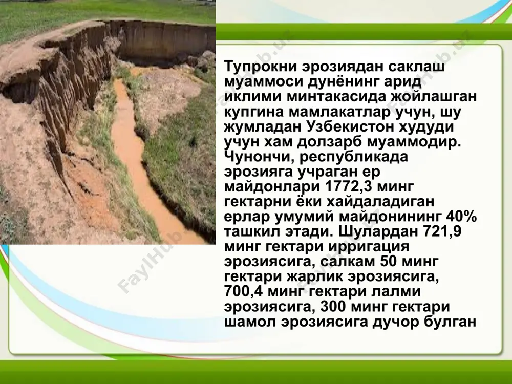 тушгунгача йигиб - териб олинган хосил энг паст 34,0 - 37,2 фоиз булди. ювиб кетилган тупрокда хосилдорлик энг кам гектарига 16,1 - 24,7 центнерни ташкил килди, лекин бу ерда ювиб кетиладиган тупрокнинг нокулай агрокимёвий, агрофизикавий, биологик хоссалари сабабли гуза сикиб куйилганлиги натижасида у тез етилди ва совук тушгунгача йигиштириб олинган хосил 72,1 - 81,1 фоизни ташкил этди. факат ювиб кетилмаган тупрокда яхши хосил - гектарига 32,0 центнер пахта олинди, совук тушгунгача йигиштириб олинган хосил хам юкори - 61,1 фоиз булди, бу эса гектарига 19,8 центнерни ташкил килди, вахоланки чукинди тупрокда гектарига 12 - 14 центнерни ва ювиб кетилган тупрокда 13 - 18 центнерни ташкил килган эди. эрозия хосил микдоригагина эмас, балки толанинг сифатига хам таъсир килди. тупрок ювиб кетилишининг таъсири остида битта кусакнинг массаси камайди, ювилиб тупланган тупрокдаги кусак массаси эса ошди. толанинг пишиклиги хам худди хам шундай нисбатларда узгарди. ювиб кетилган тупрокда толанинг чикиши хам паст даражада булди. эрозия …