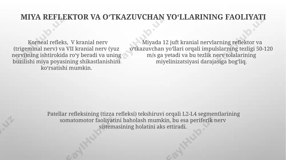 reflektor va o'tkazuvchi yo'l faoliyati - Page 5