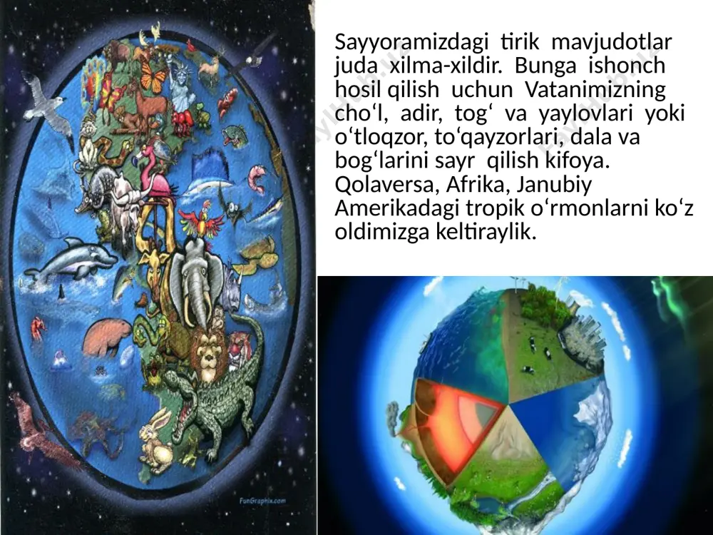 g tana tuzilishi uchun sarflanadi. yoki murakkab moddalar oddiy moddalarga parchalanishi mumkin, bunda organizmning hayot faoliyati uchun zarur bo‘lgan energiya ajralib chiqadi. moddalar almashinuvi organizmdagi hujayralarning tiklanishi, o‘sishi va ishlashini ta’minlaydi. barcha tirik mavjudotlar oziqlanadi. oziqlanish tashqi muhitdan ozuqa moddalarni o‘zlashtirishdir. ozuqa barcha tirik organizmlar uchun zarur, chunki u organizmdagi hujayralarning tiklanishi, o‘sishi va boshqa ko‘pgina jarayonlar omili bo‘lib, moddalar va energiya manbayi hisoblanadi. tirik organizmlar o‘z hayot faoliyatini saqlab turishlari uchun doimiy ravishda energiya kerak bo‘ladi. energiya nafas olish jarayonida ozuqa moddalardan ajralib chiqadi. moddalar almashinuvi natijasida organizmlarda keraksiz moddalar ham to‘planishi mumkin. bunday moddalar odatda zaharli moddalar hisoblanib, ularni organizmdan chiqarib yuborish ajratish jarayoni deb ataladi. tirik organizmlar o‘sadi va rivojlanadi. o‘sish organizmlar tomonidan ozuqa moddalarni o‘zlashtirish hisobiga amalga oshadi. organizmlar tashqi muhitdagi va o‘zida kuzatiladigan barcha o‘zgarish larga ham sezgir bo‘ladi. buning uchun yashil o‘simliklarning quyosh nuri ta’siriga bo‘lgan munosabatini ko‘rsatib o‘tish kifoya. demak, tirik organizmlar qo‘zg‘aluvchanlik …