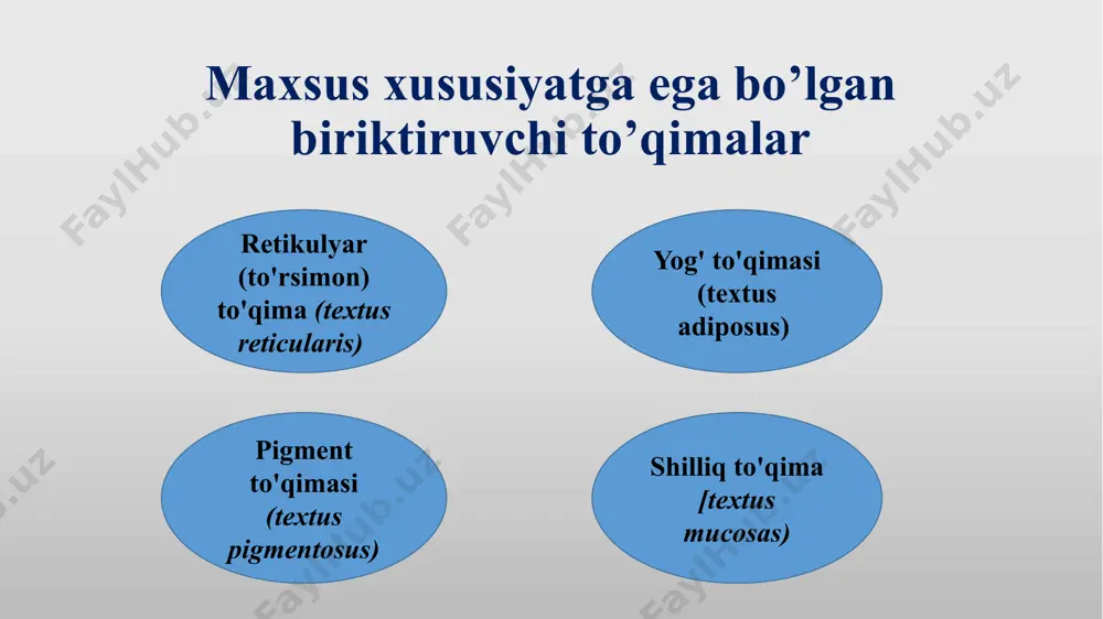 iya saqlash, issiqlik izolyatsiyasi va mexanik himoyani ta’minlashdan iborat. ushbu to‘qima yog‘ hujayralari – adipotsitlardan tashkil topgan. tarkibi: adipotsitlar: yog‘ to‘qimasining asosiy hujayralari. bu hujayralar triglitseridlarni yig‘adi va zaxira energiya sifatida saqlaydi. har bir adipotsit ichida yirik yog‘ tomchisi mavjud. retikulyar tolalar: yog‘ to‘qimasini mustahkamlash uchun tayanch vazifasini bajaradi. qon tomirlari: yog‘ to‘qimasi yaxshi qon bilan ta’minlangan, bu energiya almashinuvi uchun muhim. asab tolalari: yog‘ to‘qimasi asab tolalari bilan innervatsiya qilinib, metabolizmni boshqarishda ishtirok etadi. yog’ to’qimasi turlari: oq yog’ to’qimasi (adipose tissue): ko’proq energiya saqlash va issiqlik izolyatsiyasiga xizmat qiladi. asosan teri ostida, ichki organlar atrofida (masalan, buyrak, yurak) joylashgan. qizil yoki jigarrang yog’ to’qimasi: issiqlik hosil qilishda ishtirok etadi (termogenez). asosan chaqaloqlarda va sovuqda yashovchi hayvonlarda uchraydi, kattalarda esa cheklangan miqdorda bo‘ladi (masalan, bo‘yin va kurak oralig‘ida). yog’ to’qimasi vazifalari: energiya saqlash: yog‘ zaxirasi uzoq muddatli energiya manbai sifatida xizmat qiladi. mexanik himoya: organlar (masalan, buyrak, yurak) atrofida …