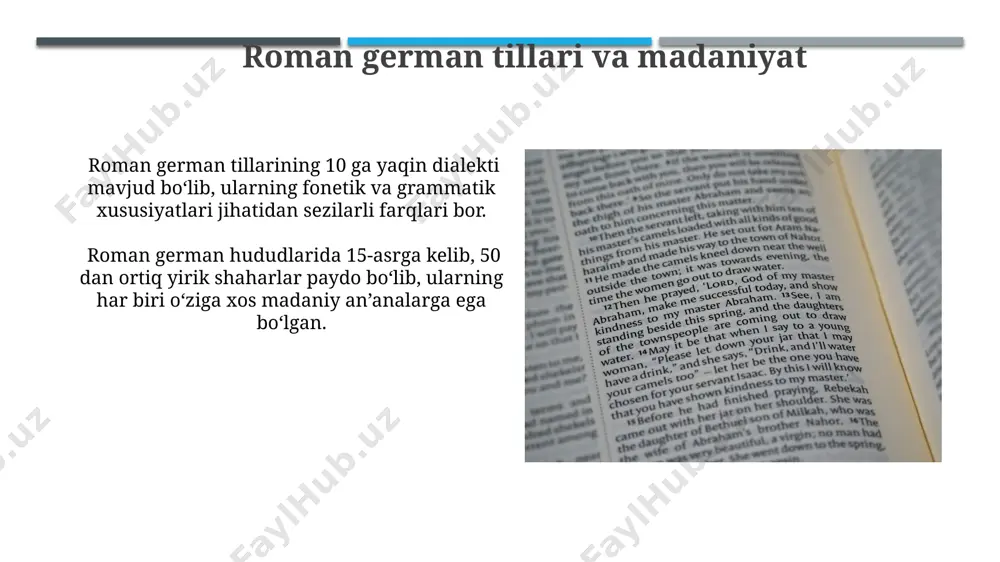 sharq tili va roman german tili haqida taqdimot - Page 5