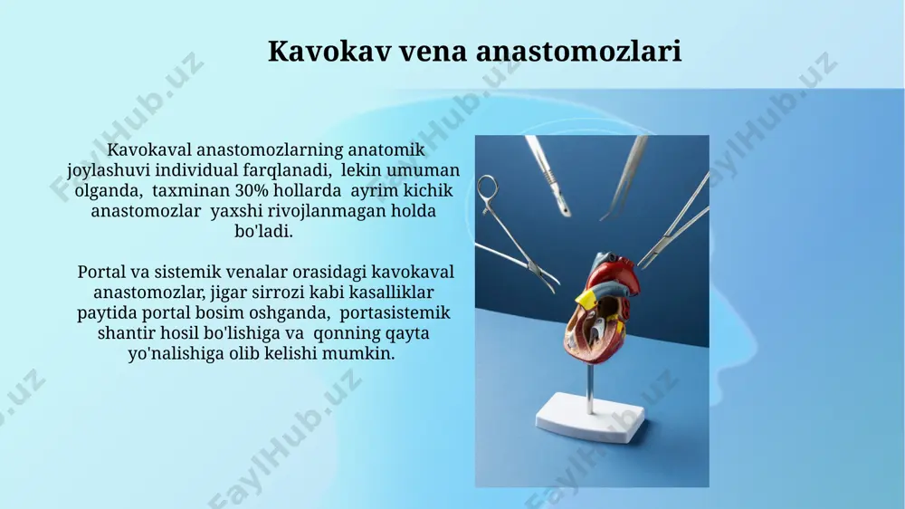 vena tizmidagi asosiy anastomozlar - Page 5