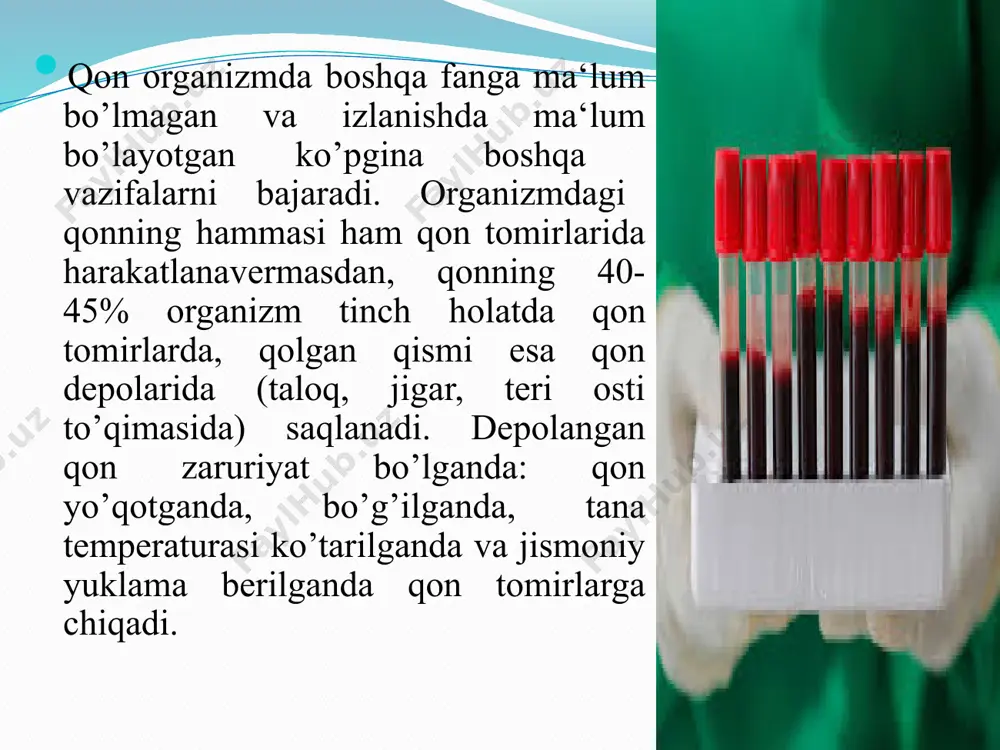 qon vaqon aylanish organlarining yoshga bog‘liqxususiyatlari - Page 5