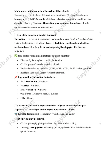 hex-editorlar – ma’lumotlarni tiklash uchun — DOCX