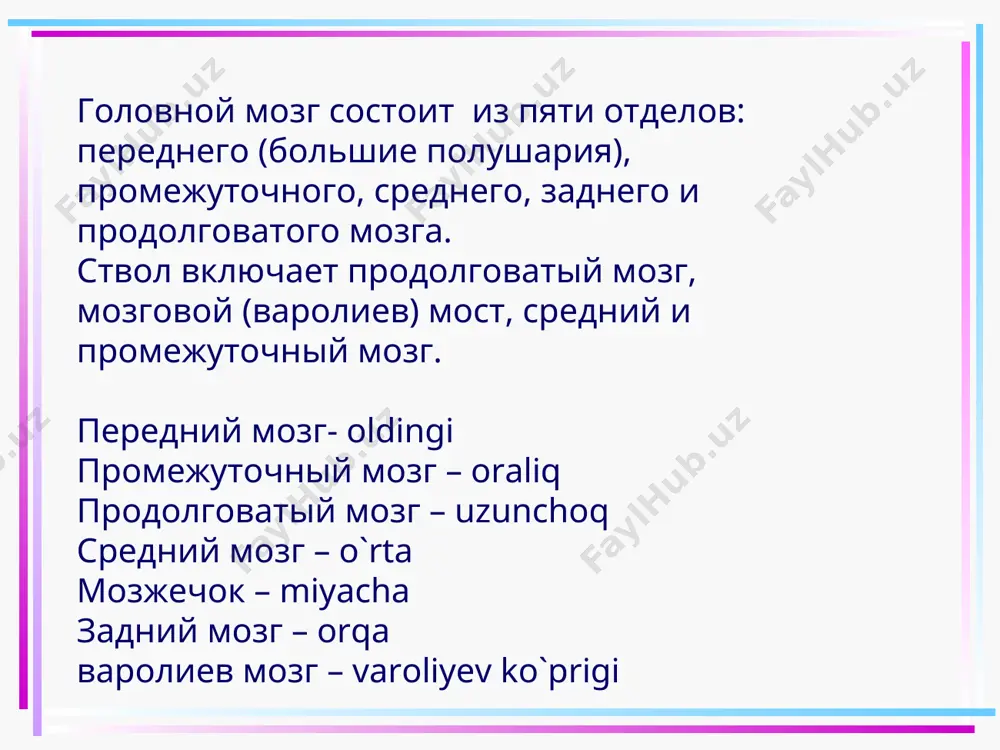 описание сравнительной характеристики предмета. головной мозг. - Page 4