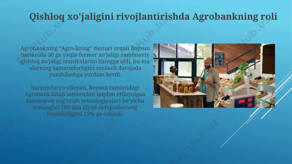 y ma'lumotlarini himoya qilish uchun 256-bitli aes shifrlash texnologiyasidan foydalanadi, bu esa potentsial xavfsizlik buzilishlarining ehtimolini sezilarli darajada kamaytiradi. boysun tumanidagi agrobank filiali, o'rtacha oylik tranzaksiya soni 5000 dan ortiq bo'lgan holda, xavfsizlik tizimini yaxshilash uchun yiliga kamida 2 marta texnik audit o'tkazadi. agrobank boysun filialining mijozlari agrobank boysun filialining mijozlari orasida 30% dan ortiq fermer xo‘jaliklari, asosan paxtachilik va bog‘dorchilik bilan shug‘ullanuvchilar mavjud bo‘lib, ularning kredit portfeli yillik 15 milliard so‘mdan oshadi. filial mijozlarining 10% dan ko‘prog‘ini yosh tadbirkorlar tashkil etadi, ular asosan startap loyihalarini amalga oshirish uchun 10-20 million so‘m miqdorida mikrokreditlardan foydalanmoqdalar va bu ko‘rsatkich yildan-yilga o‘sib bormoqda. qishloq xo'jaligi boysun tumanida boysun tumanida 2023-yilda paxta yetishtirish hajmi 15000 tonnadan oshdi, bu o'tgan yilga nisbatan 10% ga ko'p. bu, asosan, zamonaviy sug'orish texnologiyalarining qo'llanilishi va yuqori hosildorlikka ega navlar ekilishi bilan bog'liq. tuman fermer xo'jaliklarining 30% dan ortig'i agrobankning imtiyozli kreditlari orqali zamonaviy qishloq xo'jaligi texnikalari bilan …