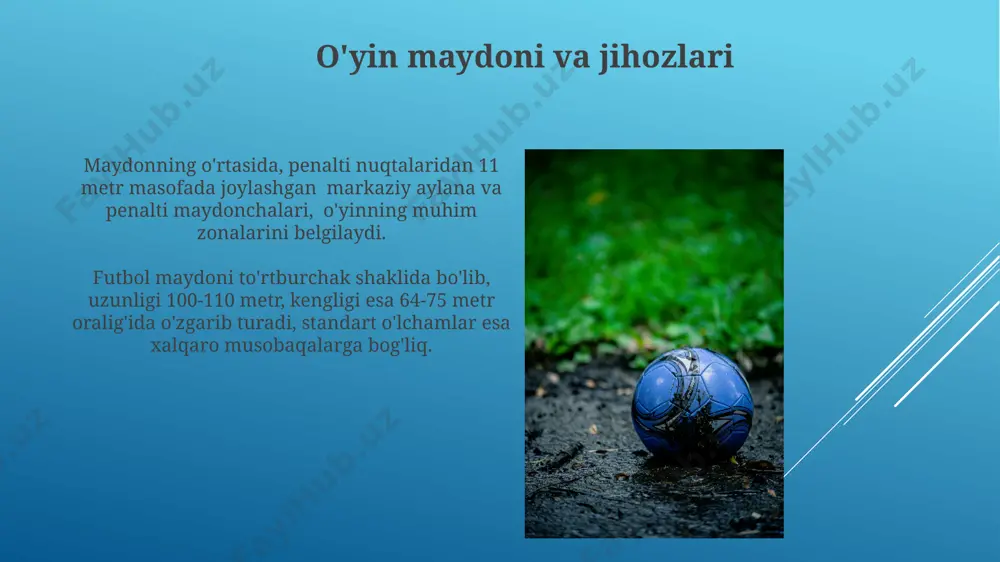 futbol o‘yini haqida taqdimot - Page 5