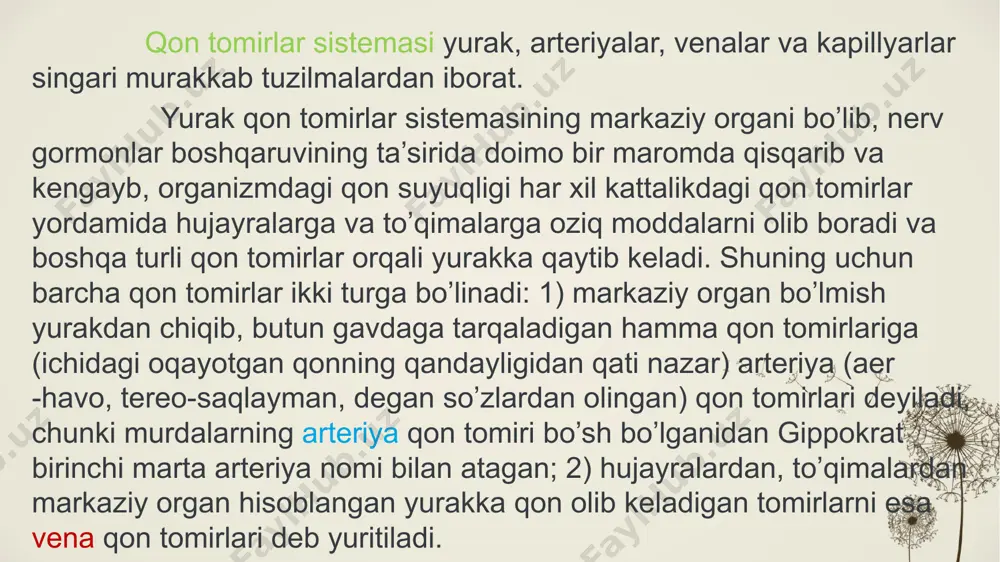 lar quyidagilardir: 1. chap bo’lmachaning qiyshiq venasi. 2. o’rta vena. 3. yurakning katta venasi. 4. kichik vena. 5. yurakning kichik venalari. nerv tizimi. nerv sistemasi haqida talimot. nerv sistemasi asosini nerv hujayralari tashkil qiladi. har bir hujayra oʻzidan chiqqan kalta shoxchalar (dendrit), bitta uzun tola (akson) bilan birga neyron deb ataladi. nerv sistemasi, asosan, neyronlar toʻplamidan iborat. nerv sistemasi filogenez va ontogenezda gavdaning tashqi qavati — ektodermadan rivojlanadi. organizmlarning tarixiy rivojlanish jarayonida nerv sistemasining tuzilishi murakkablashib, nerv hujayralarining hajmi va turlari osha borgan, neyronlar strukturasi va ayrim nerv hujayralari oʻrtasidagi oʻzaro munosabatlar, shu bilan birga nerv sistemasining funksiyasi ham shakllangan. nerv sistemasiga xos ikkinchi toʻqi-ma — neyrogliya paydo boʻlgan (u tayanch va trofik funksiyalarni bajaradi). nerv sistemasi refleks yoʻli bilan ishlaydi. organizmda tashki va ichki muxit taʼsirotlarini sezadigan retseptorlar bor. normal sharoitda organizmga tashqi muhit turli-tuman va doimiy taʼsir kursatishi tufayli retseptorlarda impuls lar vujudga keladi, bular afferent nerv tolalari …