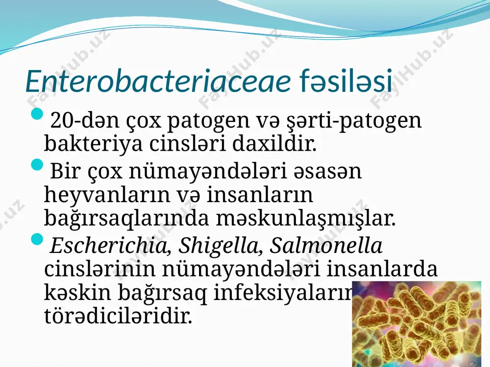 sı bu qidaların istifadəsi zamanı qida toksikoinfeksiyalarının baş verməsinə səbəb olur. sidik yolları infeksiyaları bağırsaqdan kənar eşerixiozların ən çox rast gəlinən formalarındandır. e.coli sidik yolları infeksiyalarının əsas törədicilərindəndir.bakteriyalar sidik yollarına uretradan daxil olur, məhz bu səbəbdən sidik yolları infeksiyaları qadınlarda daha çox təsadüf olunur. i̇nfeksiya qalxan yolla sidik yollarına daxil olaraq sistit, daha sonra sidik axarları vasitəsilə böyrək ləyənlərinə və böyrək toxumasına daxil olaraq pielonefrit törədir. yenidoğulmuşlarda irinli meningit e.coli tərəfindən törədilən infeksiyalar arasında ən təhlükəlisidir. bu bakteriyalar enterobacteriaceae fəsiləsinin nümayəndələri arasında meningitlərin əsas etioloji agenti hesab edilir. e.coli mənşəli meningit yenidoğulmuşlarda daha çox rast gəlinir. ölüm faizi çox yüksəkdir. qan dövranında komplimentin membranparçalayıcı c6-c9 fraksiyasına xüsusi davamlılıq k antigeninin xüsusiyyətləri ilə əlaqədardır. meningitlərin törədiciləri arasında k1 antigeninə malik e.coli üstünlük təşkil edir, bunlardan ən çox rast gələni o18:k1:h7 serotipidir. bağırsaq çöplərinin serotipləri diaregen bağırsaq çöpləri enterotoksikogen bç enteropatogen bç enteroinvaziv bç enterohemorragik bç enteroadheziv bç enterotoksigen bağırsaq çöpləri (etbç) …