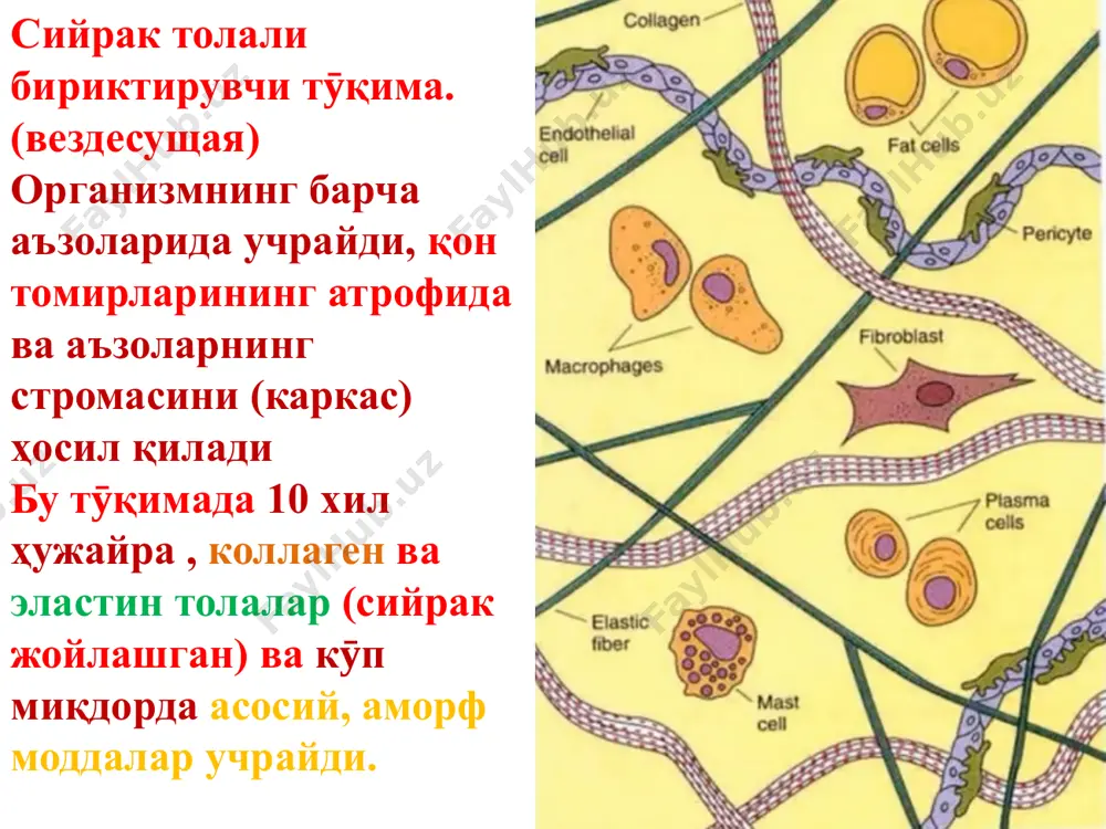 бириктирувчитӯқимаси– 1 - Page 5