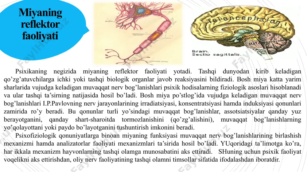 zkur metod orqali bir xil jinsli (hasan-husan, fotima-zuhra) yoki aralash jinsli (hasan-zuhra, fotima-husan) egizaklar kuzatilgan. shuning uchun qator tadqiqotlarning “ona kundaligi” (n.a.menchinskaya, v.s.muxina) deb nomlanishi bejiz emas. uzoq vaqt bir shaxsni (kichik guruhni) kuzatish unda paydo bo’layotgan yangi fazilatlarning rivojlanish dinamikasini, xulq-atvoridagi illatlarni (xatti-harakat) va ularning oldini olish tadbirlarini, murakkab psixologik munosabatlari, ichki bog’lanish qonuniyati, mexanizmi to’g’risida mukammal, ishonchli, barqaror ma’lumotlar to’plash imkonini yaratadi. image1.png image2.jpeg image3.png image4.png image5.png image6.png image7.jpeg image8.jpeg image9.png image10.jpeg image11.jpeg image12.png image13.jpeg