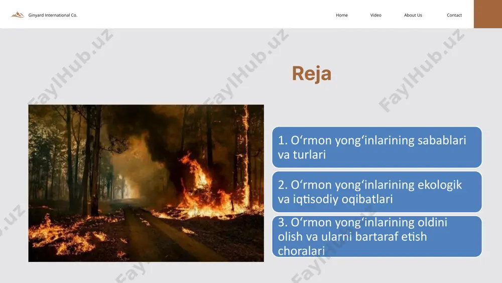 hitidir. yong‘in natijasida minglab daraxtlar, butalar, qushlar, hasharotlar va boshqa jonzotlar nobud bo‘ladi. bu esa biologik xilma-xillikning kamayishiga olib keladi. havo sifati yomonlashadi yonayotgan o‘rmonlardan chiqayotgan tutun va zaharli gazlar (uglerod oksidi, metan, azot oksidi) atmosfera havosini ifloslantiradi. bu nafaqat atrofdagi aholiga, balki uzoq masofadagi joylarga ham salbiy ta’sir ko‘rsatadi. ginyard international co. contact about us video home iqlim o‘zgarishiga ta’siri o‘rmonlar tabiiy “karbon tutkich” hisoblanadi, ya’ni ular karbonat angidridni yutib, kislorod ajratib turadi. ular yong‘in tufayli yo‘qolganda, havodagi co₂ miqdori oshadi va global isish kuchayadi. tuproq eroziyasi va cho‘llanish xavfi daraxtlar yo‘qolganidan so‘ng, tuproqni ushlab turuvchi ildiz tizimi yo‘qoladi. yomg‘ir yoki shamol ta’sirida tuproq yuvilib ketadi, unumdorlik kamayadi va vaqt o‘tishi bilan yerlar cho‘lga aylanishi mumkin. ginyard international co. contact about us video home iqtisodiy oqibatlari o‘rmon xo‘jaligiga zarar yog‘och, rezavor mevalar, dorivor o‘simliklar va boshqa o‘rmon mahsulotlari yo‘qoladi. bu esa mahalliy aholi va korxonalar uchun iqtisodiy yo‘qotish demakdir. …