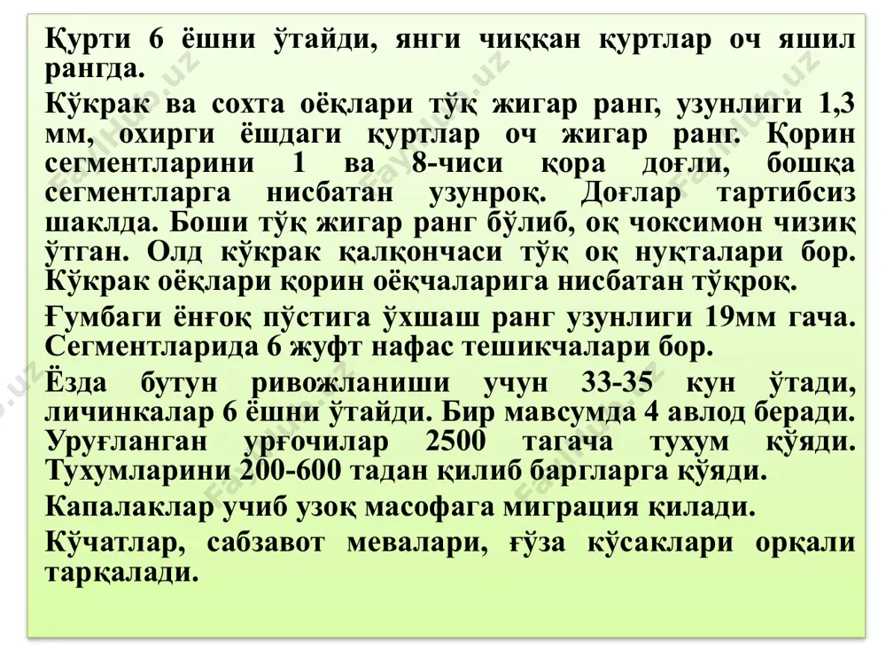 ғўза куяси ёки пушти кўсак қурти - Page 5