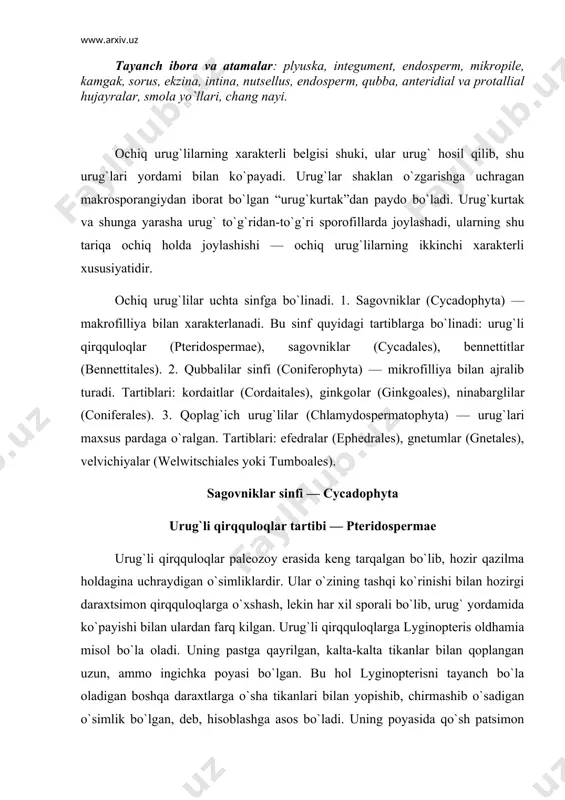 o`rinishi bilan hozirgi daraxtsimon qirqquloqlarga o`xshash, lekin har xil sporali bo`lib, urug` yordamida ko`payishi bilan ulardan farq kilgan. urug`li qirqquloqlarga lyginopteris oldhamia misol bo`la oladi. uning pastga qayrilgan, kalta-kalta tikanlar bilan qoplangan uzun, ammo ingichka poyasi bo`lgan. bu hol lyginopterisni tayanch bo`la oladigan boshqa daraxtlarga o`sha tikanlari bilan yopishib, chirmashib o`sadigan o`simlik bo`lgan, deb, hisoblashga asos bo`ladi. uning poyasida qo`sh patsimon yirik-yirik murakkab barglar bo`lib, ularning asosiy bandlari, ko`pincha dixotomik shoxlangan. lyginopteris poyasining to`zilishi ancha murakkab. poya o`zak qismining juda rivojlangan bo`lishi va kambiy halqasi yordamida ikkilamchi tartibda qalinlasha olgani bilan ajralib turadi. ikkilamchi yog`och, hozirgi ochiq urug`lilardagiga o`xshash, traxeidlardan tuzilgan, po`stlog`n ancha qalin bo`lgan. lyginopteris mikro- va makrosporalar hosil qilgan. mikrosporofillari (crossotheca deb yuritiladi) vegetativ barglari singari, patsimon bo`lsa ham, ayrim yaproqchalari tuklarga aylangan bo`lib, shu tuklarda bir talay mikrosporalar bilan to`lgan ikki uyali 6-7 ta cho`ziq mikrosporangiylari bo`lgan. bu o`rindagi mikrosporangiylar urug`kurtaklarga o`xshaydi. urug`kurtak murakkab tuzilgan bo`lib, hozirgi …