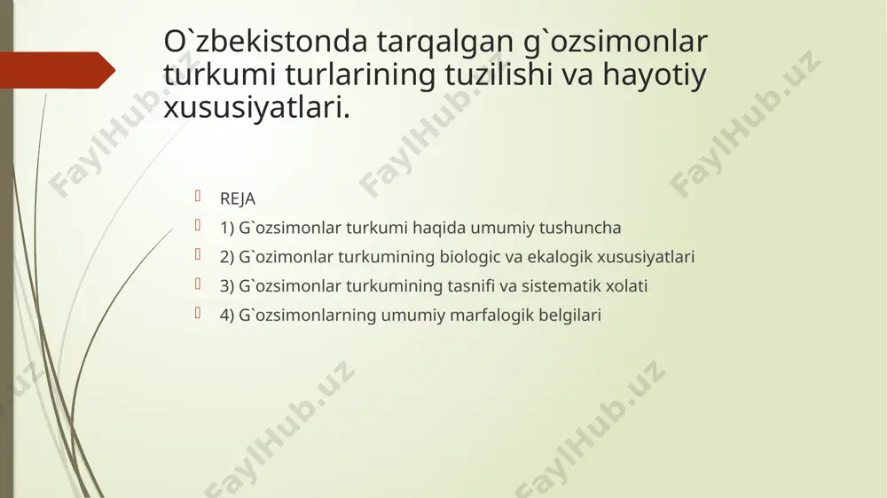 botqoqliklarda, daryo va koʻl bo‘ylarida yashaydi hamda oʻz hayot faoliyatining asosiy qismini suvda oʻtkazadi. ular oʻrtacha yoki yirik tana tuzilishiga ega boʻlib, suvda erkin suzish, choʻmilish va baʼzida chuqur shoʻngʻish xususiyatiga ega. gʻozsimonlarning tashqi tuzilishi ularning yashash muhiti va hayot faoliyatiga toʻliq moslashgan boʻlib, ularning tumshugʻi keng va yassi shaklda boʻladi. bu esa ularga suv ichidan ozuqani filtrlab olish imkonini beradi. ularning oyoqlari suzish uchun moslashgan boʻlib, barmoqlari orasida suzgich pardalar mavjud. bu tuzilma ularni nafaqat suvda harakat qilishga, balki baʼzan quruqlikda yurishga ham imkon beradi. gʻozsimonlar turkumi vakillarining ko‘pchiligi o‘rtacha va katta tana tuzilishiga ega, boshi va bo‘yni nisbatan katta va kuchli bo‘ladi. ular kuchli muskullarga ega bo‘lib, bu ularga uzoq masofalarga uchish imkonini beradi. qanotlari keng va kuchli, migratsiya davrida minglab kilometr masofani bosib o‘tishga qodir. ayrim turlarida bo‘yin juda uzun bo‘lib, bu ularga suv tubidan ozuqa izlashda katta yordam beradi. gʻozsimonlar pat qoplami zich va yogʻli modda …