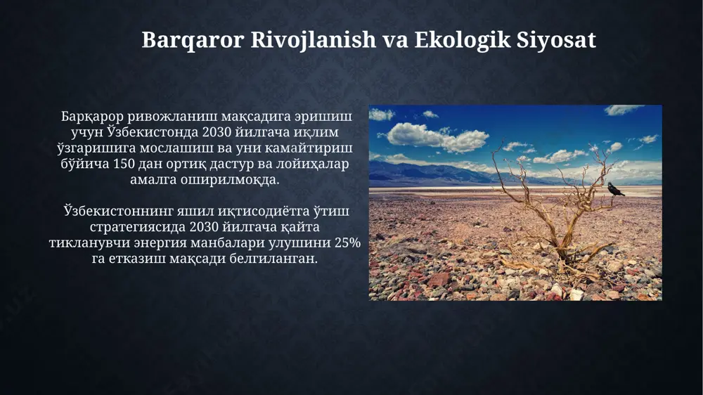 inson ekologiyasining zamonaviy holati - Page 4