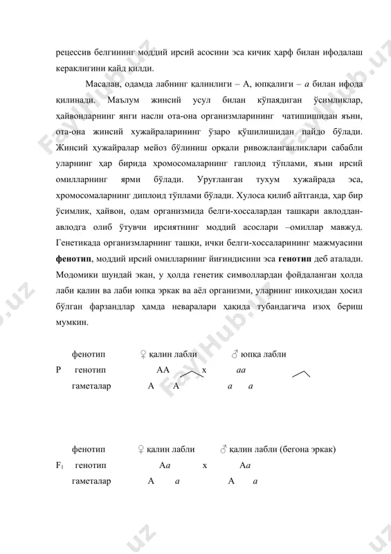 кўрадиган f1 ген аа агар шундай никоҳдан туғилган бошқа-бошқа оилаларнинг ўғил ва қизлари ўзаро турмуш қурсалар, у ҳолда биринчи тажрибадаги каби туғилган фарзандларнинг тўртдан уч қисми яқинни яхши кўрадиган, тўртдан бир қисми нормал кўрадиган бўладилар. уларни генетик символлар ёрдамида шундай изоҳлаш мумкин: фен ♀ кўзи яқинни яхши кўрадиган ♂ кўзи яқинни яхши кўрадиган f1 ген аа аа х гам а а а а фен кўзи яқинни яхши кўрадиган кўзи нормал кўрадиган f2 ген аа: аа: аа : аа генетикада бир хил ота-она организмларининг чатишишидан ҳосил бўлган ва келгусида ўрганилаётган белги-хоссалар бўйича хилма-хиллик бермайдиган организмларни гомозигота, ҳар хил ирсиятга эга ота-она организмларининг чатишишидан олинган ва келгусида авлодларда хилма-хиллик берадиганларни гетерозигота организмлар дейилади. таҳлилий чатиштириш. агар ота ёки онадаги доминант белги тўлиқ ҳолда авлоддан-авлодга берилса, дурагайларнинг гомозигота ва гетерозигота формалари фенотип жиҳатдан ўхшаш бўлганликлари сабабли уларни бир-биридан фарқлаш қийин. буларнинг генетик жиҳатдан ҳар хил эканлигини келгуси авлодда билиш мумкин. одатда гомозигота ва …