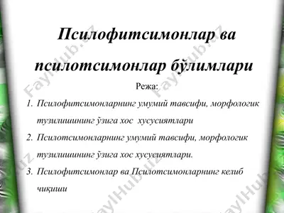 псилофитсимонлар ва псилотсимонлар бўлимлари — PPTX