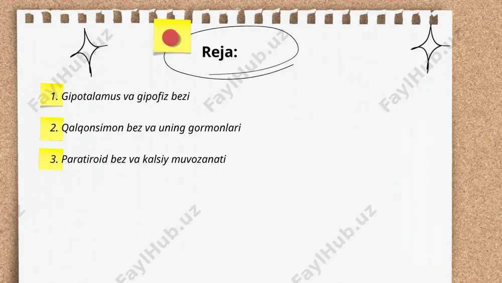 i rag'batlantiradi. paratormon darajasi oshganda giperkalsemiya holati yuzaga kelishi mumkin, bu esa suyaklar zaiflashishi, buyrak toshlari va asab tizimi buzilishiga olib kelishi mumkin. aksincha, pth darajasi past bo'lsa, gipokalsemiya rivojlanadi, bu mushak tortishishlari va kechimining zaiflashishiga sabab bo'lishi mumkin. shu sababli, paratiroid bezlar va kaltsiy muvozanati organizm uchun muhimdir. ... t.me/slaydai_bot 4. buyrak usti bezlari buyrak usti bezlari ichki sekretsiya bezlaridan bo‘lib, buyraklarning ustida joylashgan. ular korteks va medulla qismlaridan iborat. korteks qismi gormonlar ishlab chiqaradi, masalan, kortizol, aldosteron va androgenlar. medulla qismi esa adrenalin va noradrenalin gormonlarini ishlab chiqaradi. buyrak usti bezlari stressga javob berishda muhim rol o‘ynaydi va qon bosimi, elektrolit balansi kabi funksiyalarni tartibga solishda ishtirok etadi. gormonlarining muvozanatsizligi sog'liq uchun jiddiy asoratlar keltirib chiqarishi mumkin, masalan, addison kasalligi yoki kushing sindromi. har bir bezning o'lchami odatda uzunligi 4-6 sm va kengligi 2-3 sm atrofida bo'ladi. ... t.me/slaydai_bot pankreas organizmda insulin gormoni ishlab chikaradi. insulin qonni glyukoza …