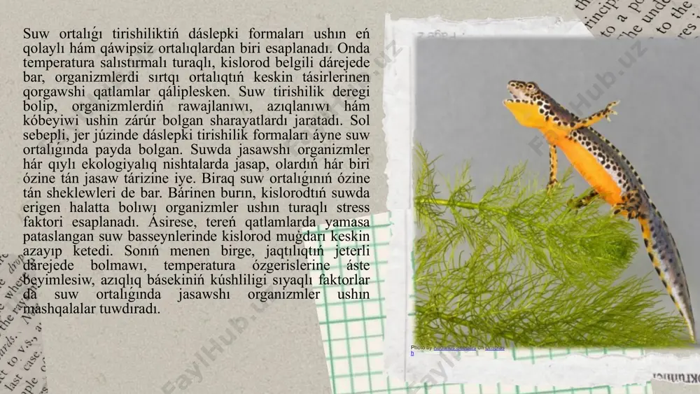 aqit ótip, tolıq qurgaqlıq sharayatına beyimlese algan. sonday-aq, qurgaqlıqqa shigiw procesinde organizmler ózleriniń dúzilisinde sezilerli ózgerislerge ushiragan. mısalı, suwdan hawaǵa ótiw dem alıw sistemasın túpten ózgertiwdi talap etken. jabralardıń ornına ókpeler qáliplesip, hawa arqalı kislorod alıw imkaniyatı júzege kelgen. sırtqı ortalıqtaǵı qattı betlerde háreketleniw bolsa dene tayanıshınıń kúsheyiwi hám bulshıq et sistemasınıń rawajlanıwın talap etken. bul procesler áste-aqırın, biraq turaqlı túrde júz bergen hám tiri organizmlerdiń kópshiligi jańa ortalıqta da aman qalıwǵa erisken. qurǵaqlıqqa shıǵıw procesi tek sırtqı sharayatlarǵa beyimlesiw emes, al ishki biologiyalıq sistemalardıń da túp-tiykarınan ózgeriwin talap etken. qurǵaqlıqqa shigiw, yagniy suwdan gana jasawdan qurgaqlıqta jasawga ótiw, tiri organizmlerdiń evolyucion tariyxında úlken ózgerislerdi támiyinlegen hám biologiyalıq ortalıqta jana tirishilik sharayatlarına beyimlesiw zárúrligin keltirip shigargan process. bul process organizmler ushin ekologiyalıq hám biologiyalıq faktorlardıń kúshli tásirine tiykarlangan. tiri organizmler waqit ótiwi menen óziniń jasaw orınların, resursların hám ekologiyalıq sharayatların izlep, qurgaqlıqqa shigiwga iytermelewshi birneshe ekologiyalıq hám biologiyalıq faktorlarga dus …