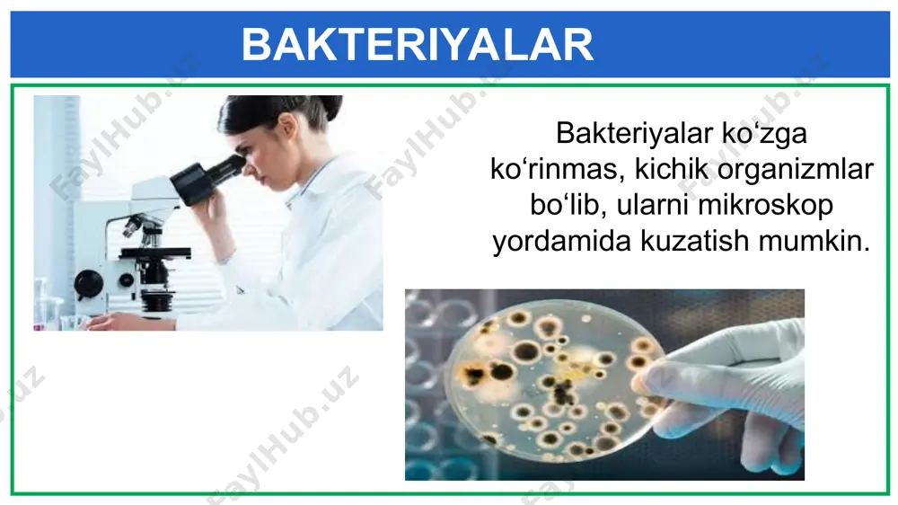 tirik organizmlarga nimalarni kiritdik? - Page 4