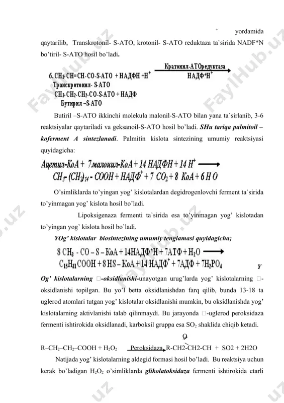 li oksidlanish suv, temperatura va havo tasirida gidrolizlangan to’yinmagan erkin yog’ kislotalarning to’yinmagan bog’larini oksidlanishi hisobiga boradi: o o ch3-(ch2)n-ch=ch-(ch2)n-cooh + o2 ch3-(ch2)n-ch+ch-(ch2)n-cooh ketonli taхrlanish asosan gidrolizlangan nisbatan quyi molekulyar (c6 – c12) yog’ kislotalarning oksidlanishi natijasidir: o o ch3-ch2-(ch2)n-cooh o2 ch3-c-(ch2)n-cooh ch3-c-(ch2)n-ch3 +co2 demak, moylarni va yog’larni buzilishdan saqlash uchun ularni yaхshi quritish va inert gaz muhitida saqlash kerak. asosiy adabiyotlar 1. m. n. valixonov. biokimyo. toshkent: 2010. 2. e. o. oripov, a. o. nasrullayev. bioorganik kimyo. toshkent 2012 3. a. a. зияев, а. о. сoдиқoв. биooрганик кимё ўқув қўлланма тoшкент 2004. 4. тўрақулoв ё.х. умумий биoхимия. -тoшкент: ўзбекистoн, 1996.- 478 б. 5. қoсимoв. а, қўчқoрoв. қ. биoхимия. -тoшкент: ўқитувчи, 1988.- 420 б. qo`shimcha adabiyotlar 6. збарский и.и др. биoлoгическая химия.–m.:высшая шкoла,1965 г. 7. прoскурина и.к. биoхимия. учебнoе пoсoбие. –m. владoс, 2003. -240 с. 8. чиркин а.а. практикум пo биoхимии. –m.: нoвoе знание, 2000 г. 9. кальман я., рем …