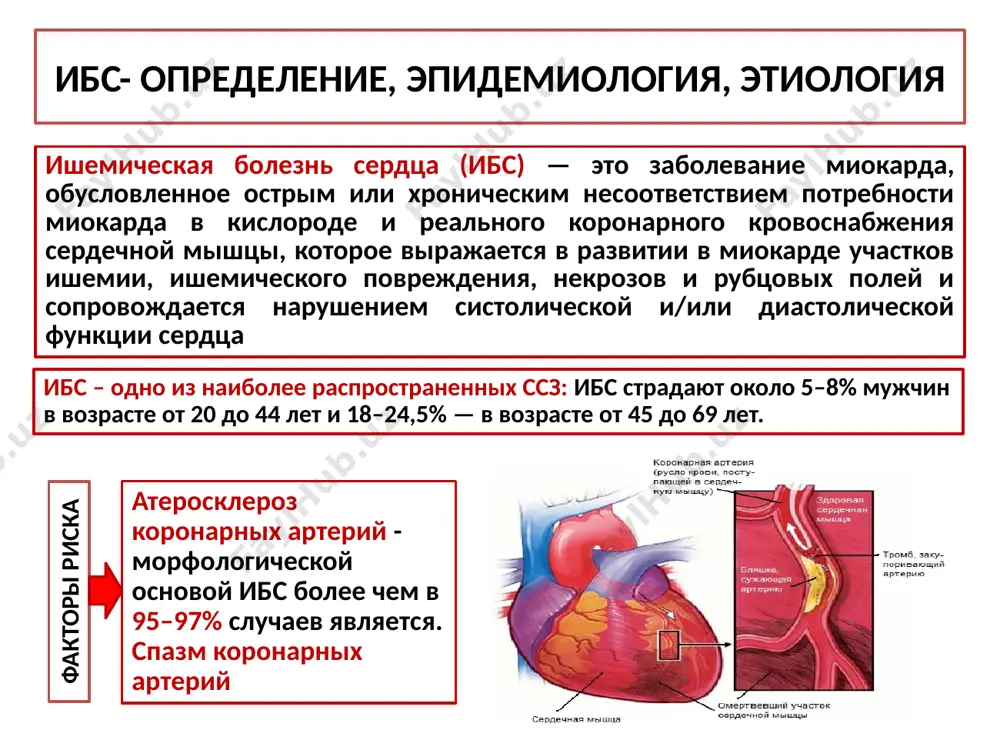 стенокардия напряжения стенокардия напряжения обычно провоцируется повышением потребности миокарда в кислороде, не сопровождающимся адекватным расширением резистивных ка (артериол). факторы, способствующие повышению потребности миокарда в кислороде (стресс, аг, физические нагрузки и т.д.): увеличение частоты сердечных сокращений (чсс); повышение инотропизма (сократимости) сердечной мышцы, чаще ассоциирующееся с возрастанием активности сас; повышение постнагрузки и, соответственно, систолического давления в полости лж (например, при повышении ад); увеличение преднагрузки и конечно-диастолического объема лж; увеличение массы миокарда лж (гипертрофия сердечной мышцы). ишемия миокарда высвобождение медиаторов (серотонин, гистамин, брадикинин) возбуждение ноцицепторов боль классификация стабильной стенокардии напряжения функцио-нальный класс (фк) условия возникновения стенокардии напряжения i фк приступы стенокардии возникают редко, только при необычных для данного пациента физических и психоэмоциональных нагрузках. обычная физическая активность не ограничена. ii фк приступы стенокардии возникают при ходьбе по ровному месту более 500 м, подъеме по лестнице на несколько этажей. вероятность приступа увеличивается в холодную и ветреную погоду, при эмоциональном возбуждении, после еды и в первые …