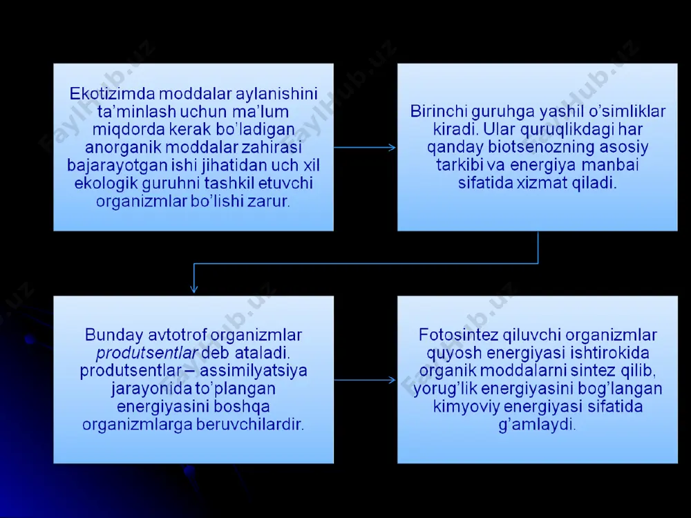 ekotizmlar ekologiyasi - Page 5