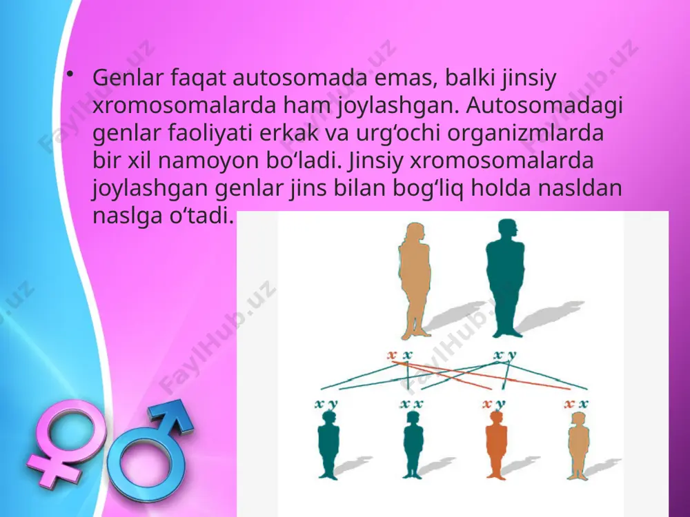 tovuq va xo‘rozlarning pati chipor rangda bo‘ladi. f1 dagi xo‘roz va tovuqlar o‘zaro chatishtirilsa, f2 avlodning barcha xo‘rozlari chipor, tovuqlarining ½ qismi chipor, ½ qismi qora patli bo‘ladi. retsiprok chatishtirishda, ya’ni chipor tovuq bilan qora xo‘roz chatishishidan olingan f1 parrandalarning tovuqlari qora, xo‘rozlari chipor rangda bo‘ladi. ularning ikkinchi avlodida tovuq va xo‘rozlarning ½ qismi chipor, ½ qismining pati qora rangda bo‘ladi. savol va topshiriqlar: t. morganning g. mendel tajribalaridan farqini tushuntirib bering. drozofi la meva pashshasida ko‘z rangining irsiylanish qonuniyatlarini tushuntiring. tovuq va xo‘rozlarda belgilarning jins bilan bog‘liq irsiylanishini tushuntiring. jins bilan cheklangan belgilarning irsiylanishini tushuntiring. image2.jpeg image3.jpeg image4.jpeg image5.jpeg image6.jpeg image7.jpeg image8.png image9.png image1.jpeg