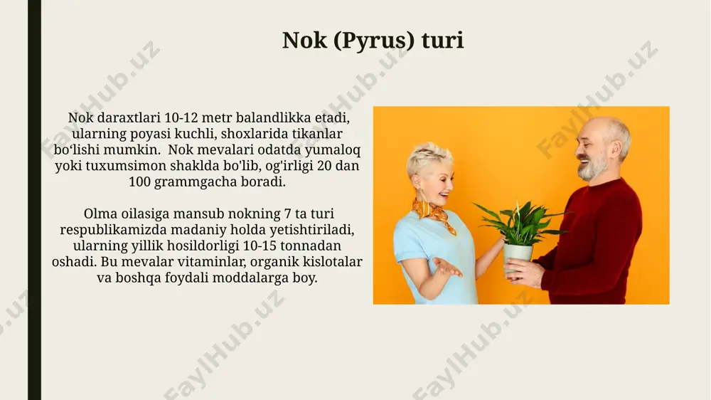 shi juda xilma-xil boʻlib, poʻstli, ko'sakcha, olma, danak va boshqa turlarda boʻladi. rosaceae oilasining kelajagi ra'nodoshlar oilasining 3000 dan ortiq turi mavjud bo'lib, ulardan 266 tasi o'zbekistonda uchraydi. kelajakda gen muhandisligi yordamida yangi, yuqori hosildor navlar yaratish mumkin. o'zbekistonning rosaceae oilasi vakillarini yetishtirish hajmini 2025 yilga kelib 1000 ga yetkazish, eksportni 2 barobarga oshirish rejalashtirilgan. bu esa iqtisodiyotga katta hissa qo'shadi. bektoshi uzumi (vaccinium) turi bektoshi uzumlari (vaccinium) oilasi 120 ga yaqin turga ega boʻlib, ularning koʻpchiligi shimoliy yarim sharning moʻtadil va sovuq mintaqalarida oʻsadi. bektoshi uzumining mevalari tarkibida 100 mg gacha c vitamini, shuningdek, antioksidantlar va boshqa foydali moddalar mavjud boʻlib, ular sogʻliq uchun foydalidir. e'tiboringiz uchun rahmat @taqdimot_robot image1.jpg image2.jpg image3.jpg image4.jpg image5.jpg image6.jpg image7.jpg image8.jpg image9.jpg image10.jpg image11.jpg image12.jpg image13.jpg image14.jpg image15.jpg image16.jpg image17.jpg