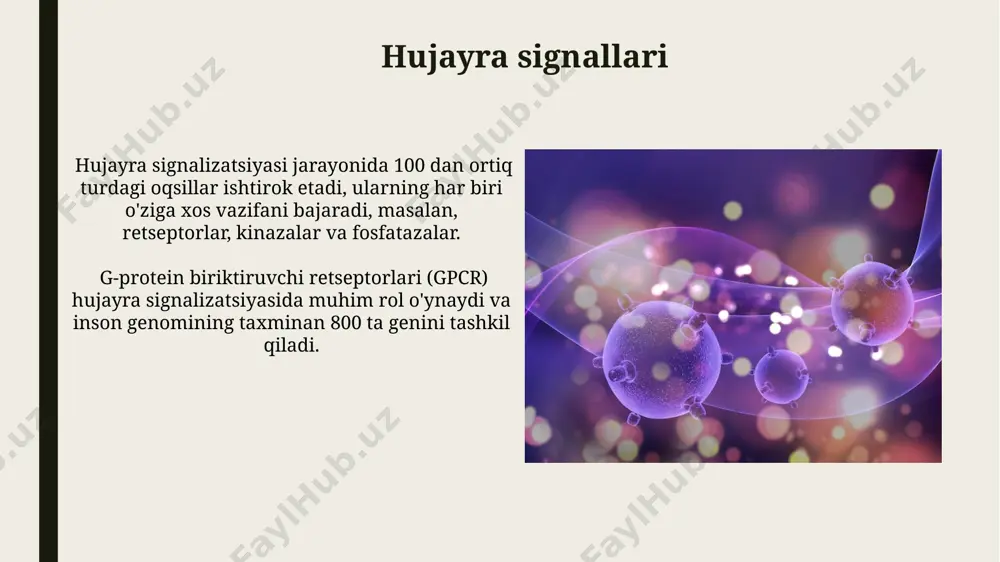 biologik sistemalarning molekulyar strukturasi - Page 4