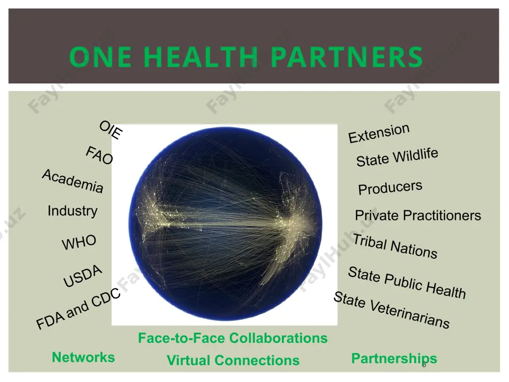 be over-emphasized. 7 one more case study a collaboration across the one health community 8 safeguarding animal health fever outbreak associated with a goat farm ― montana and washington, 2011 http://www.cdc.gov/mmwr/preview/mmwrhtml/mm6040a5.htm 9 safeguarding animal health note: these are not pictures of the goat farms in discussion. a q-fever outbreak, caused by the bacteria coxiella burnetii, is another example of human and animal health working together to reduce illness in both populations. 9 goat farm a washington april 22, 2011, a veterinarian collected a goat placenta from a farm in washington 14 of 50 (28%) pregnant does had aborted since january brucellosis was a differential diagnosis veterinarian submitted tissues to state veterinary diagnostic lab for analysis q fever bacterium coxiella burnetii was detected 10 morbidity and mortality weekly report (mmwr)october 14, 2011 / 60(40);1393 safeguarding animal health causative agent: coxiella burnetii shed in birthing fluids, excreta, milk exists in a spore-like …