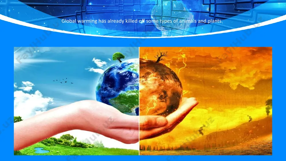 global environmental problems - Page 4