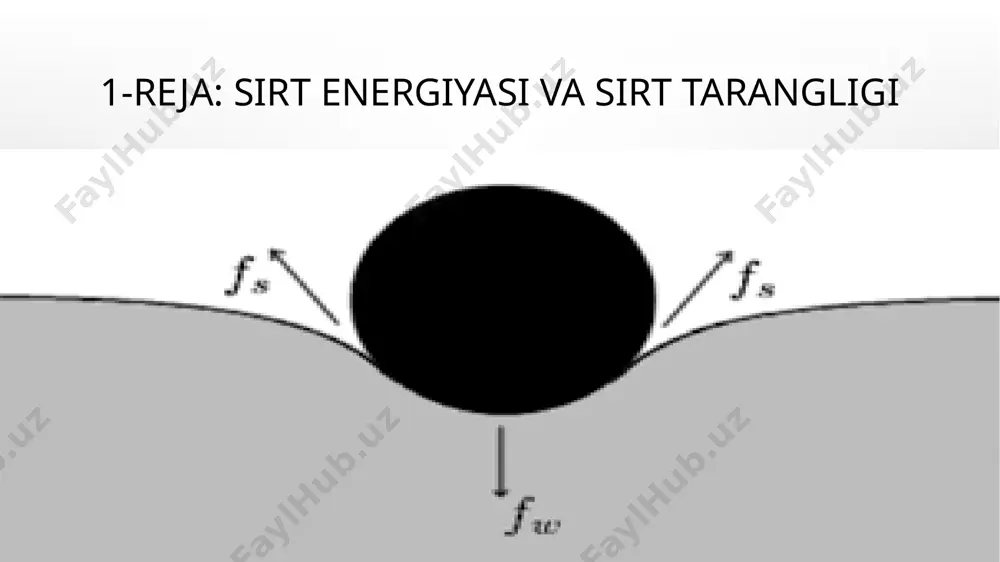 sirt hodisalari . adsorbsiya - Page 3