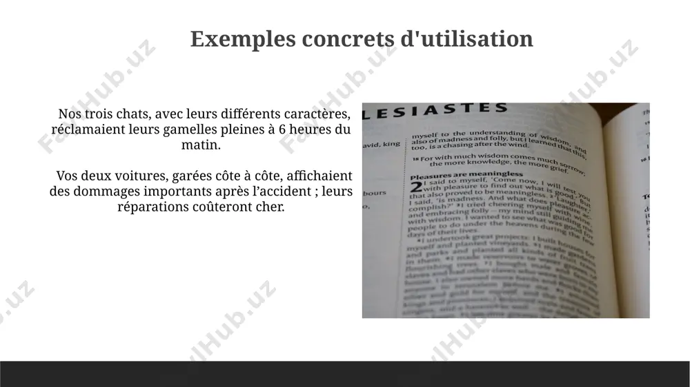 le pluriel des adjectifs possessifs (mes, tes, ses; nos, vos, leurs). - Page 3
