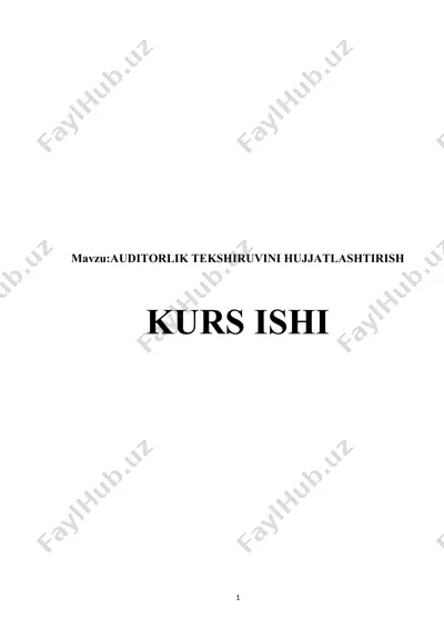 auditorlik tekshiruvini hujjatlashtirish — DOCX