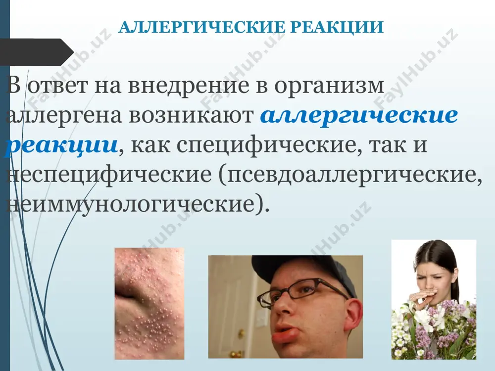 клетках) и базофильных лейкоцитах. при соединении реагинов с соответствующим аллергеном из этих клеток выделяются медиаторы — гистамин, лейкотриены, хемотаксические факторы, гепарин, тромбоцитактивирующий фактор. механизмы аллергической реакции общий механизм развития аллергической реакции немедленного типа, имеющий две фазы: развитие ранней фазы реакции, или классический путь (i), и развитие поздней фазы реакции (ii). механизмы аллергической реакции в развитии ранней фазы реакции принимают участив лаброциты (тучные клетки) и базофилы, на которых фиксируются антитела-реагины (1). при присоединении к этим антителам соответствующих аллергенов (2) из тучных клеток высвобождаются медиаторы: гистамин, повышающий проницаемость сосудов и вызывающий спазм гладких мышц, эозонофильные хемотаксические факторы (эхф), вызывающие хемотаксис эозинофилов, высокомолекулярный нейтрофильный хемотаксический фактор (внхф), обеспечивающий хемотаксис нейтрофилов, тромбоцитактивирующий фактор (таф), вызывающий агрегацию тромбоцитов и освобождение из них гистамина и серотонина. механизмы аллергической реакции активированные медиаторами эозонофилы выделяют вторичные медиаторы: диаминооксидазу (дао), арилсульфатазу (ас). активированные нейтрофилы освобождают таф и лейкотриены (лт). в развитии поздней фазы реакции (ii) принимают участие макрофаги, эозинофилы …