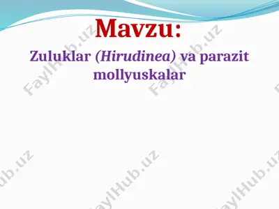 zuluklar (hirudinea) va parazit mollyuskalar — PPTX