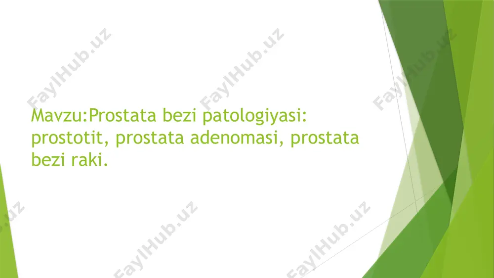 ykotsitlar aniqlanmaydi. 4. asimptomatik yallig’lanishli prostatit (iv toifa): klinik simptomlar bo’lmagan holda prostata to’qimasida yallig’lanish mavjud bo’ladi, odatda boshqa tibbiy tekshiruvlar davomida aniqlanadi. patologik anatomiyasi makroskopik xususiyatlar: oʻtkir prostatit: prostata bezi shishgan, giperemiyalangan va yumshoq bo’lishi mumkin. surunkali prostatit: prostata to’qimasi fibrozlangan, kichik kistalar yoki kalkulyuslar mavjud bo’lishi mumkin. mikroskopik xususiyatlar: oʻtkir bakterial prostatit: prostata bezlarining lumenida neytrofillar to’planishi, mikroabsesslar mavjudligi bilan xarakterlanadi. surunkali prostatit: stromada limfotsitlar va plazma hujayralarining infiltratsiyasi kuzatiladi. granulomatoz prostatit: epiteloid hujayralar, gigant hujayralar va limfotsitlar bilan granulomatoz yallig’lanish kuzatiladi. bu holat ba’zida prostata saratonini taqlid qilishi mumkin. klinik manzarasi oʻtkir bakterial prostatit: yuqori harorat, siydik chiqarishda og’riq, perineal sohada og’riq, umumiy holsizlik kabi simptomlar bilan kechadi. davolash kechiktirilsa, sepsis, prostata absessi kabi og’ir asoratlar rivojlanishi mumkin. surunkali bakterial prostatit: takroriy siydik yo’llari infeksiyalari, perineal yoki tos sohasida doimiy og’riq, jinsiy disfunktsiya bilan namoyon bo’ladi. surunkali tos og’rig’i sindromi (cp/cpps): siydik chiqarishda noqulaylik, jinsiy faoliyatda og’riq, …