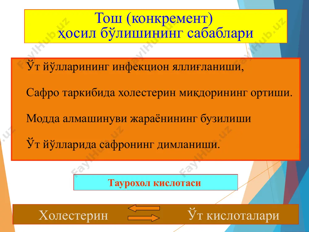 ўт тош касаллиги - Page 5