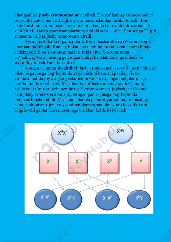b kelish. 2. mavzu yuzasidan “sinkveyn” tuzib kelish. image1.png image2.png