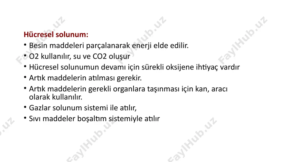şardan görülen bölüm cavitas nasi: burun boşluğu nasus externus piramit şekilli dorsum nasi (burun sırtını) radix nasi (burun kökü) apex nasi alae nasi (burun kanatları) nares (burun delikleri) apex nasi nasus externus’u oluşturan kemikler os frontale’nin pars nasalis’i os nasale maxilla apertura piriformis cartilagines nasi (burun kıkırdakları) cartilago septi nasi, cartilago alaris major, cartilagines alares minores, cartilagines nasales accessoriae cavitas naşi (burun boşluğu) önde nares ile dışarıya arkada choanae ile nasopharynx’e açılır cavitas nasi’nin duvarları dış duvar i̇ç duvar: septum nasi ethmoid kemik vomer cartilago septi nasi choanae vestibulum nasi: üzeri deri ile örtülü hafif geniş olan giriş kısmıdır. burada bulunan kıllar solunum havası ile taşınan yabancı cisimlerin iç kısımlara geçmesini engeller. regio respiratoria: vestibulum nasinin arkasında yer alan damardan zengin koyu renkli kısımdır. vestibulum nasiden gelen hava burada ısınır ve nemlendirilir. regio olfactoria: koku duyusu ile ilgili olan bölgedir. concha nasi superiorun üst kısmında bulunur. cavitas nasi paranasal sinüsler …