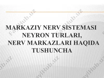 markaziy nerv sistemasi neyron turlari, nerv markazlari haqida tushuncha — PPTX