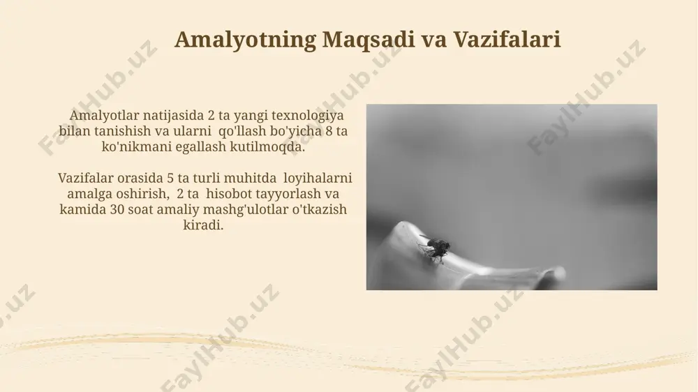 malakaviy amaliyot hisobotlari to‘plami - Page 5