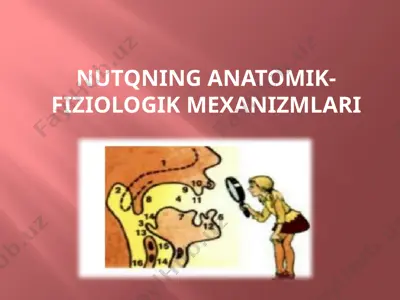 nutqning anatomik-fiziologik mexanizmlari — PPTX