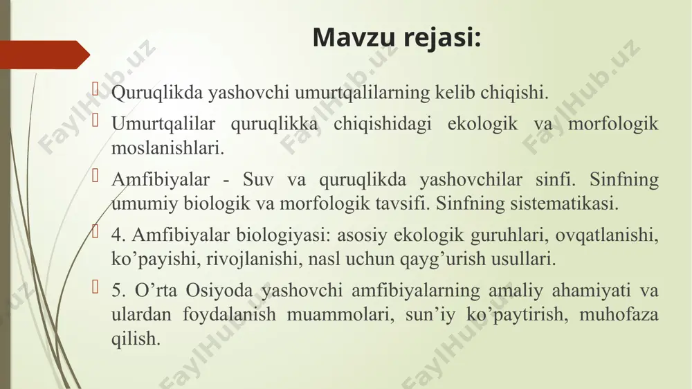 ilalarini oladi. dumsizlar (ecaudatayokianura) turkumi. 5 ta kichik turkum. 19 tadan 25 tagacha oila va 334 ta avlod kiradi opistosclalar (orísthocoelu) kenja turkumi yumaloqtillilar (discoglossidae) oilasiga 16 ta tur kiradi pipalar (pipidae) oilasiga asosan afrikada yashaydigan pix baqalalar (xenopus) va janubiy amerikaning iropik o'rmonlarida yashaydigan surinam pipasi (pipa pipa) kiradi proselalar (procoela) kenja turkumi kvakshalar (hylidae) oilasiga 580 ga yaqin tur kiradi haqiqiy qurbaqalar (bufonidae) oilasiga 365 ta tur kiradi anomoselalar (anomocoeia) kenja turkumiga chesnoch-nitsalar (pelobates), butli baqalar (pelodytes) va bir nechta ekzotik baqalar kiradi diplaziosclalar (diplasiocoela) kcnja turkumi amfiselalar (amphicoela) kenja turkumi daraxtlarda yashovchi kaltaboshlar ibrachycephalidae) oilalari kiradi baqalarning tashqi tuzilish burun teshigi burun teshigi ko’z teri ovoz kuchaytirish rezanator bilak va tirsak oyoqning tovon qismi bel chanoq sohasi salamandra va baqaning skelet tuzilishi 1-bo'yin umurtqasi: 2-tana umurtqalari; 3-qovurg'alari; 4-dumg’aza umurtqasi; 5 - dum umurtqalari; 6 - dum suyagi (urostil); 7 - yelka kamari.8-yelka suyagi; 9 - tirsak suyagi; …