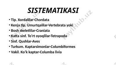 qushlar tuzilishi — PPTX